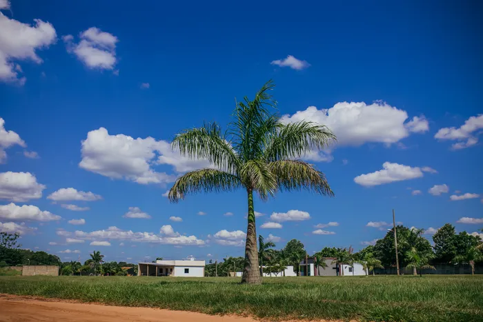 Entrada del Barrio Cerrado Las Palmeras