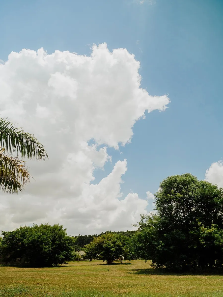 Zona Residencial del Barrio Cerrado Las Palmeras 7